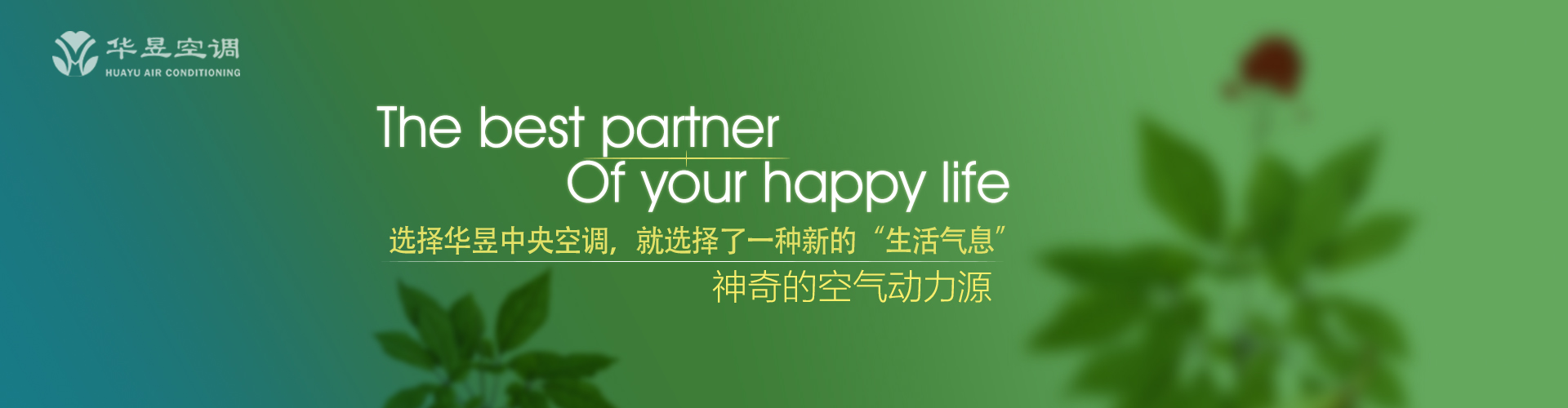 良莠不分网